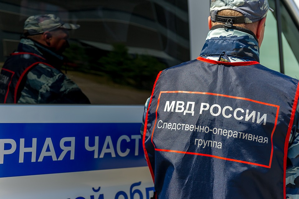 Житель Ленобласти забил насмерть обидчика своих родственников