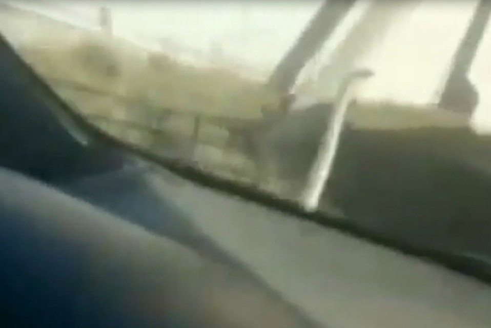 Змея проехала от Темрюка до Новороссийска. Фото: скриншот видео temruk__info