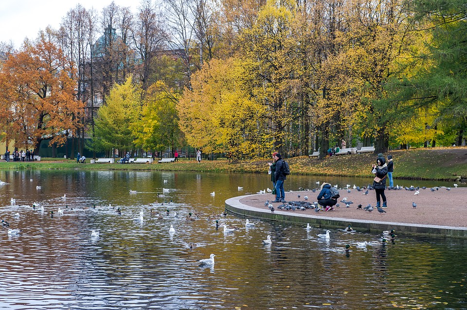 19 октября в Петербурге потеплеет до +12.