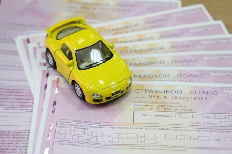 Фото: Юлия Пыхалова