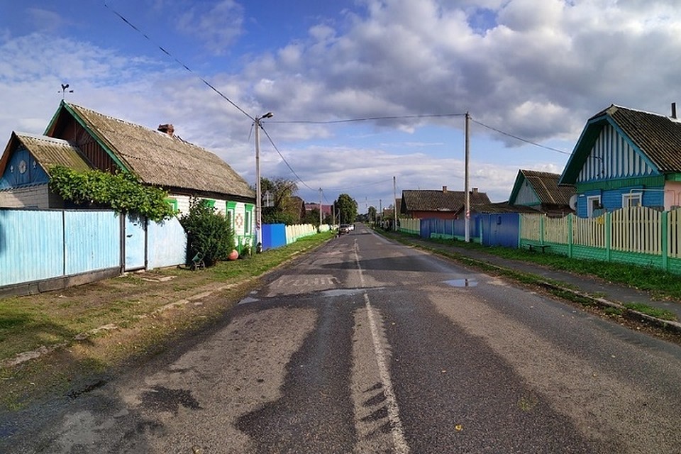 Обзор на сельской улице женщине-водителю закрыл припаркованный на обочине "Спринтер". Фото: УСК по Гомельской области.