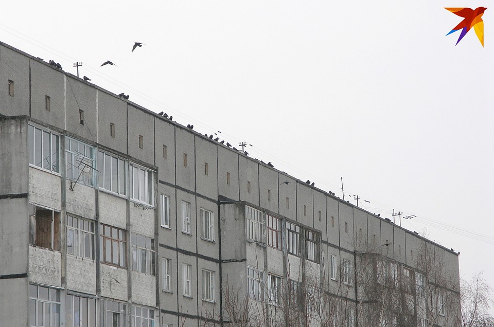 В Минске упал с высоты и погиб 28-летний мужчина