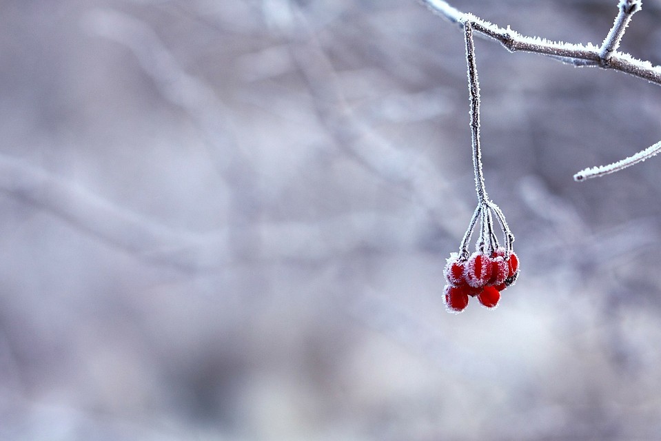 В Приморье похолодает. Фото: pixabay.com