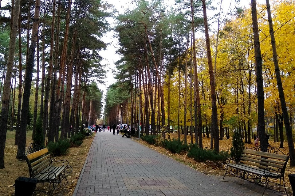 Липчане выберут, каким станет парк Победы