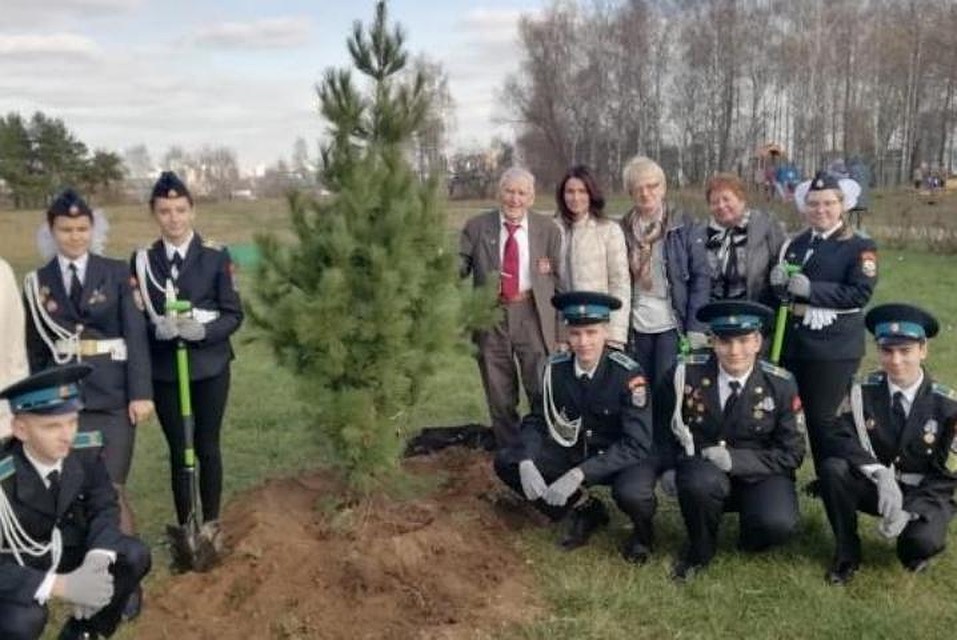 Кузбасский фронтовик высадил аллеи кедров на Мамаевом кургане в Волгограде.ФОТО: Администрация города Кемерово