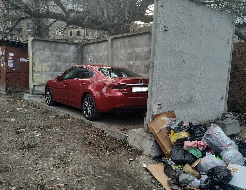 фото нашего читателя