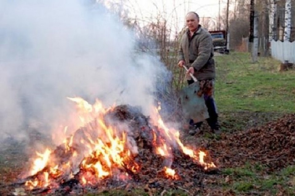 За сжигание опавшей листвы жителей Молдовы оштрафуют на 1200 леев