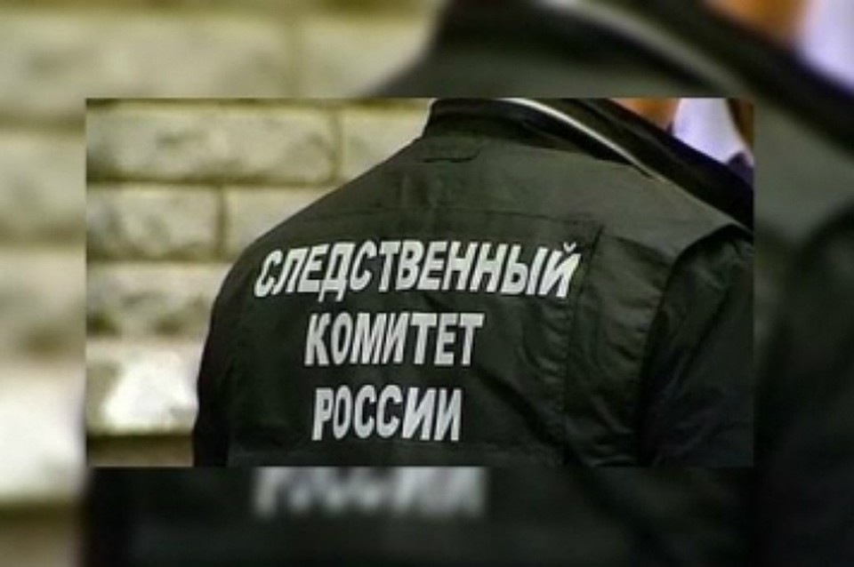 Следователи на Камчатке разбираются в причинах гибели младенца, летевшего в Хабаровск ФОТО: СУ СК России по Камчатскому краю
