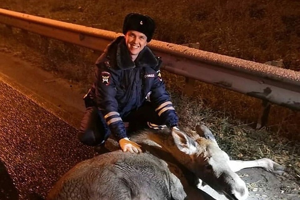 Фото: Полк ДПС Казани
