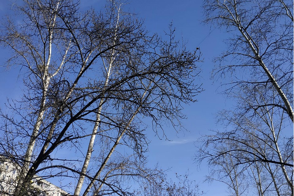 Погода в Хабаровске на 3 ноября 2019 года: днем до +5, без осадков