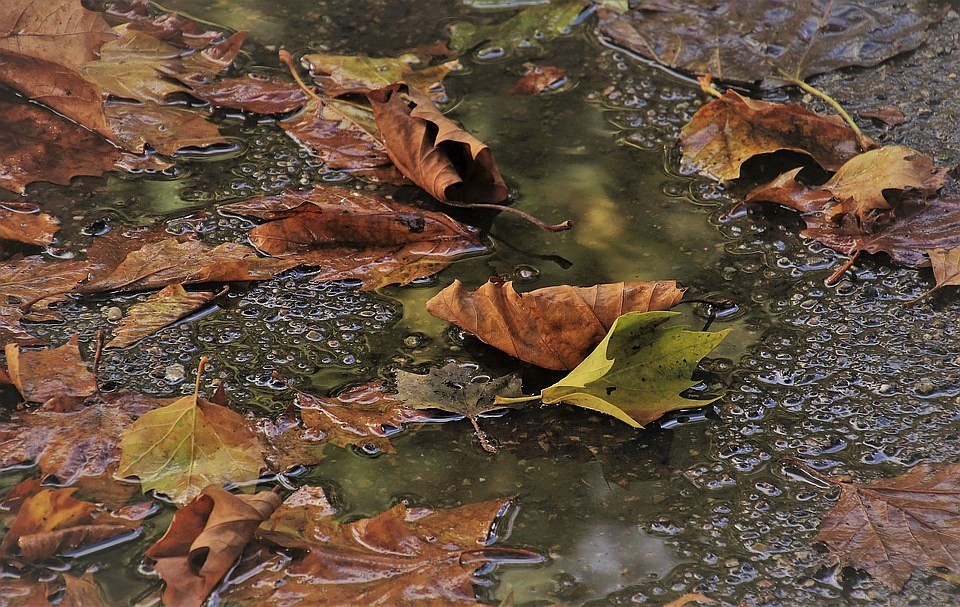 Фото: pixabay.com