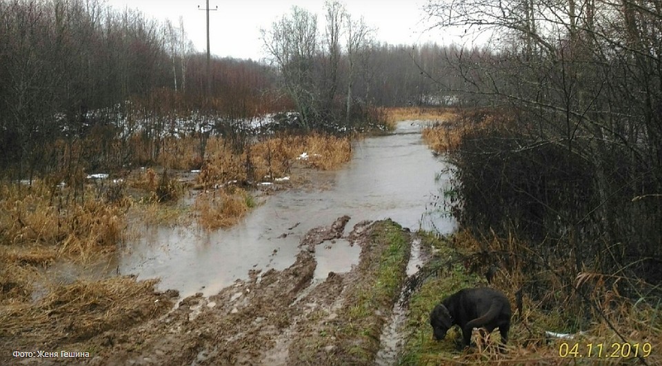 Фото: Женя Гешина