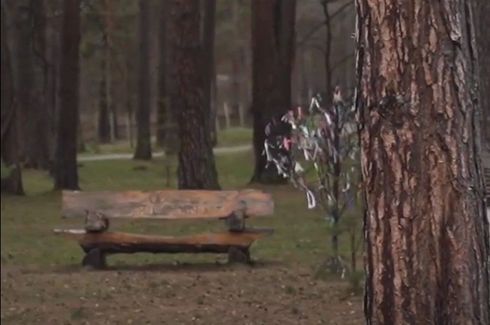 Парк аттракционов в ретро-стиле появится в Кузбассе. ФОТО: кадр видео АКО
