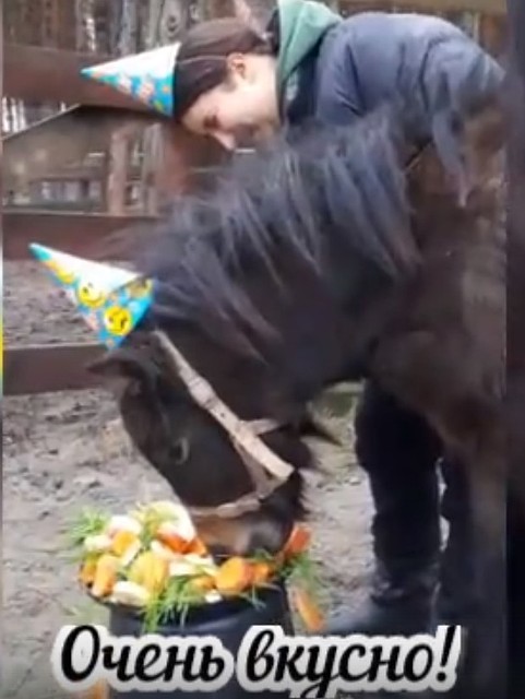 Фото: скриншот из видео.