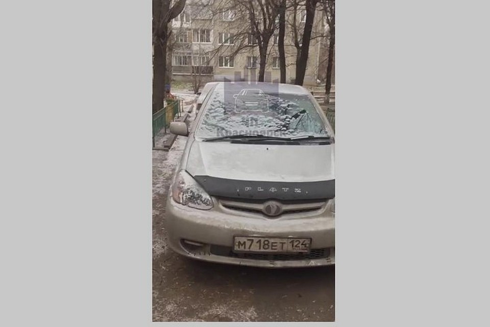 Красноярка просит помочь ей вызволить щенка. Фото: "ЧП Красноярск"