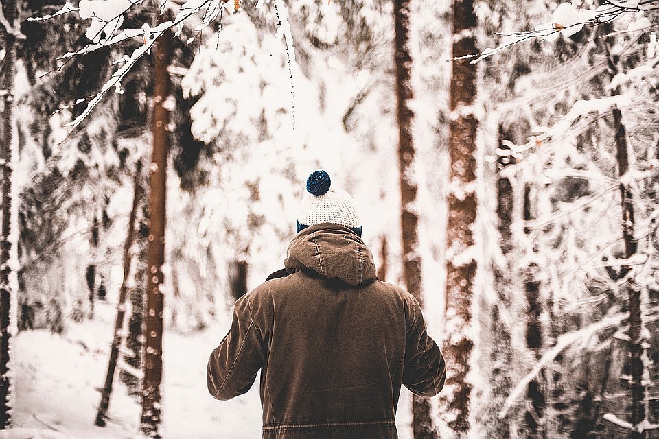 Фото: pixabay.com
