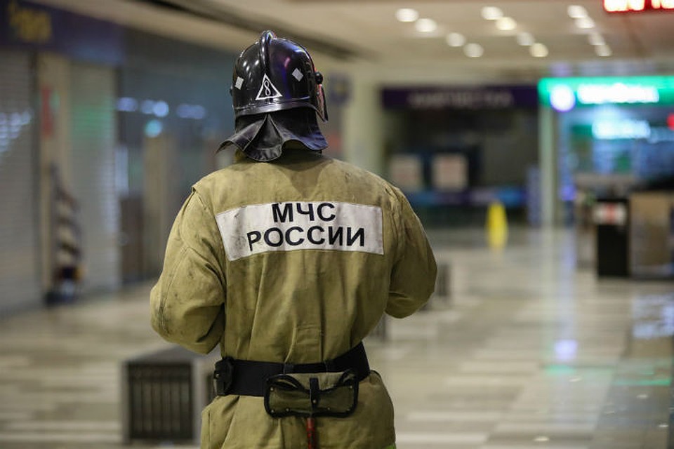 Закуплено 4,5 тысячи устройств.