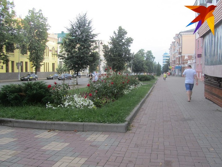 Деревья в центре города пойдут под топор