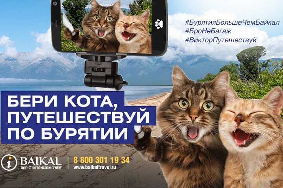 Наш ответ истории с котом Виктором: пассажирам с животными предложили свободно путешествовать по Бурятии