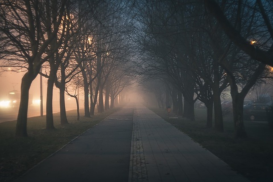 Фото: pixabay.com.