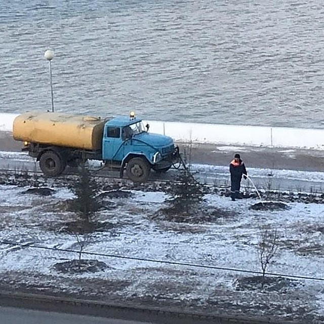 Омичи недоумевают, зачем поливать деревья в такой холод.