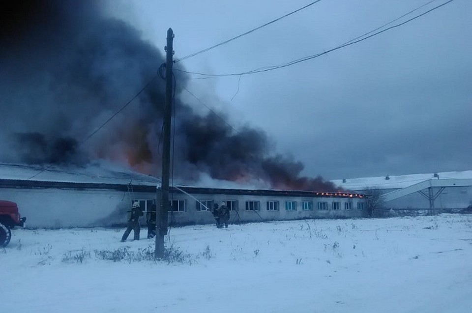 Фото: ГУ МЧС по Свердловской области