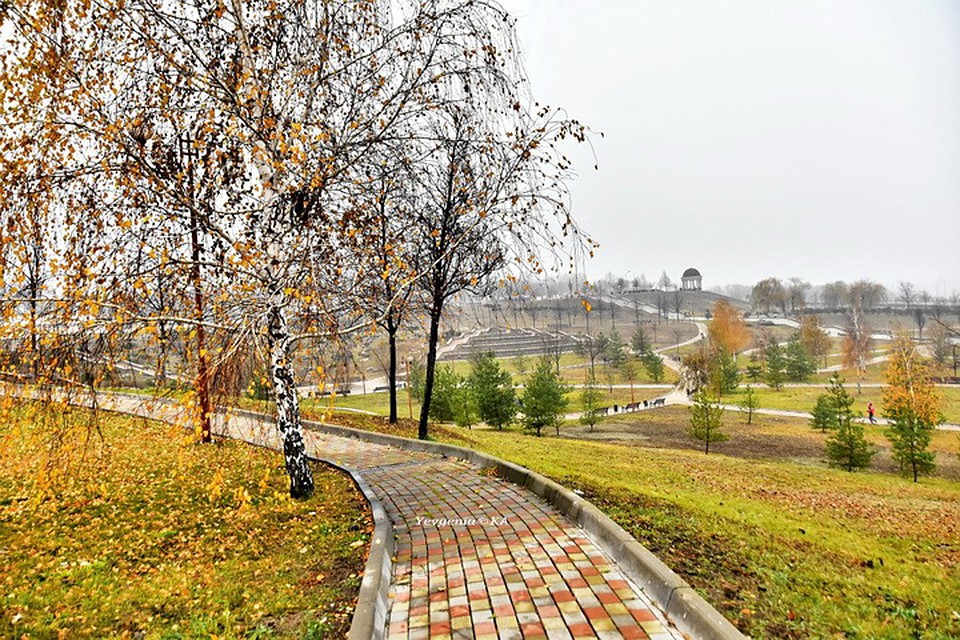 Первый мороз в Донецке. Фото: Евгения Карпачева
