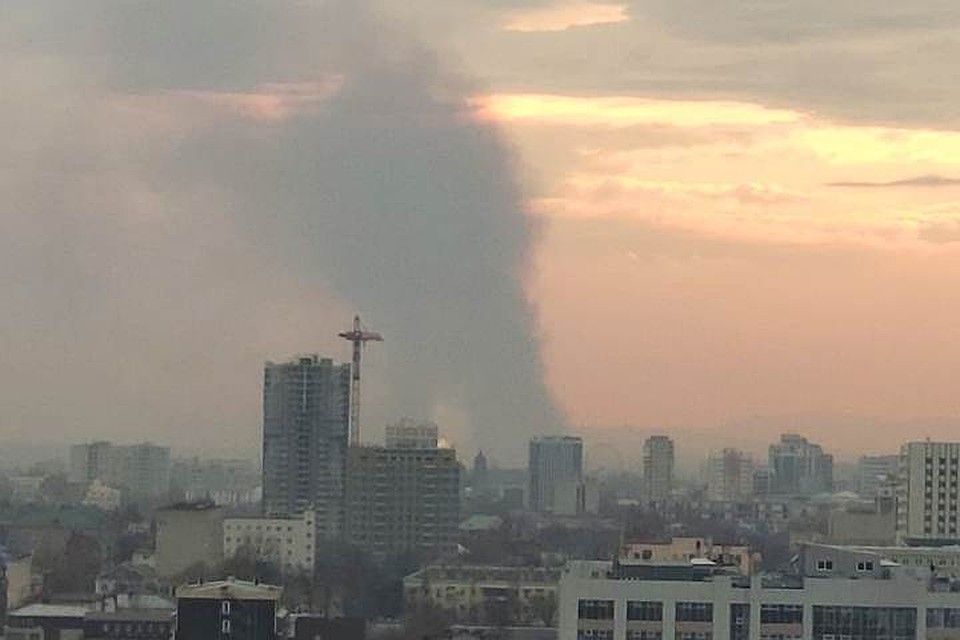 Фото: социальные сети