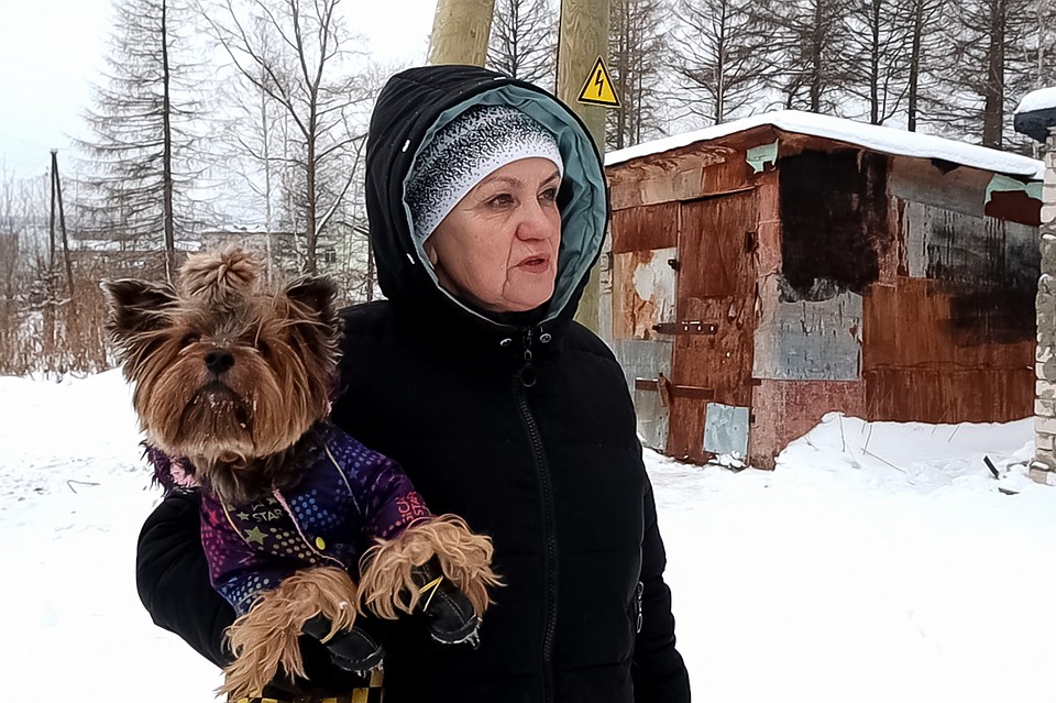 Волонтеры решили действовать по закону.