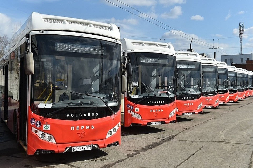 Автобусы должны соответствовать экологическому классу «Евро-5»
