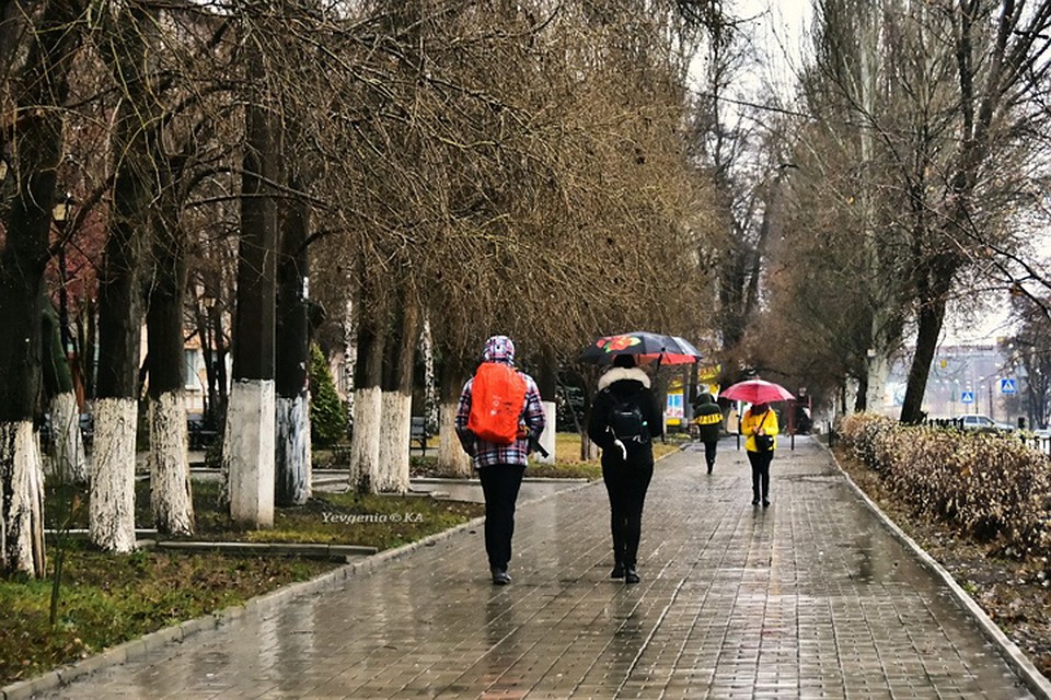 Пасмурный декабрь в Донецке. Фото: Евгения Карпачева