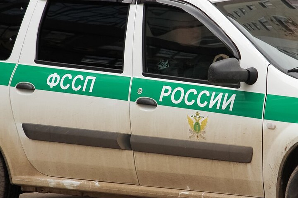 Суд приговорил владелицу к штрафу