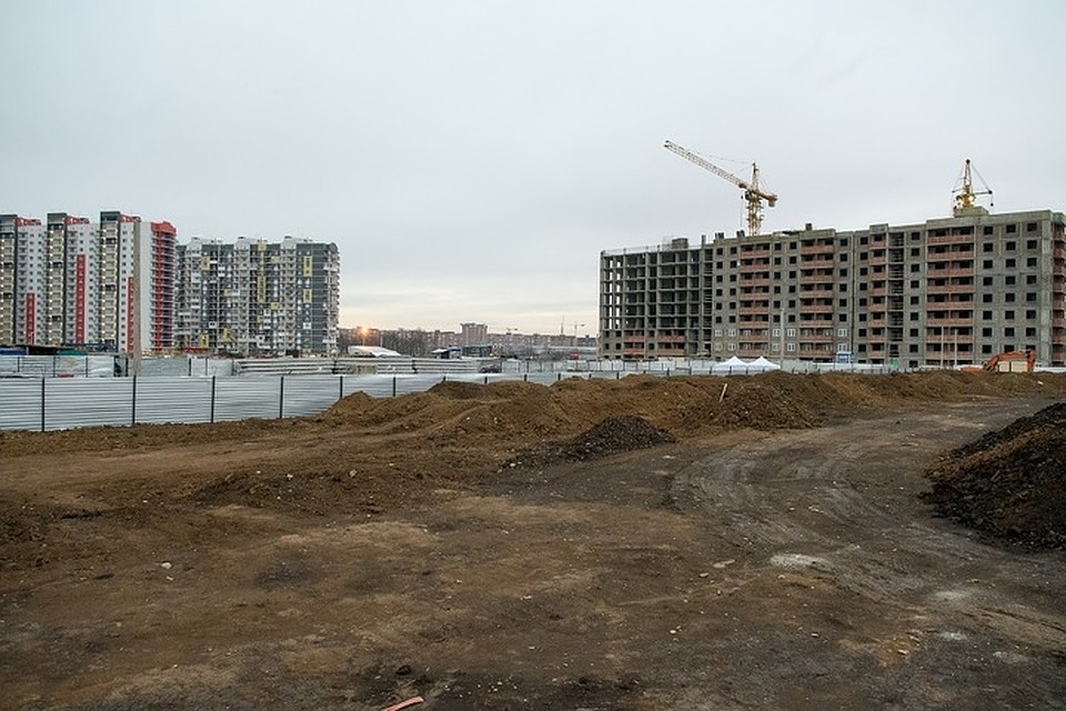 Фото: администрация Краснодара