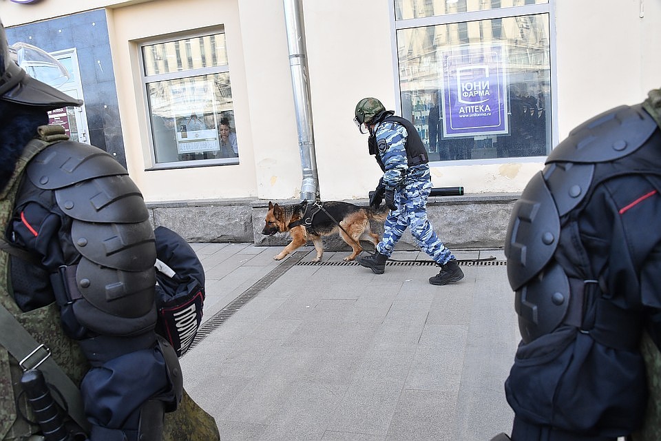 Пока все поступившие сообщения с угрозами оказывались ложными