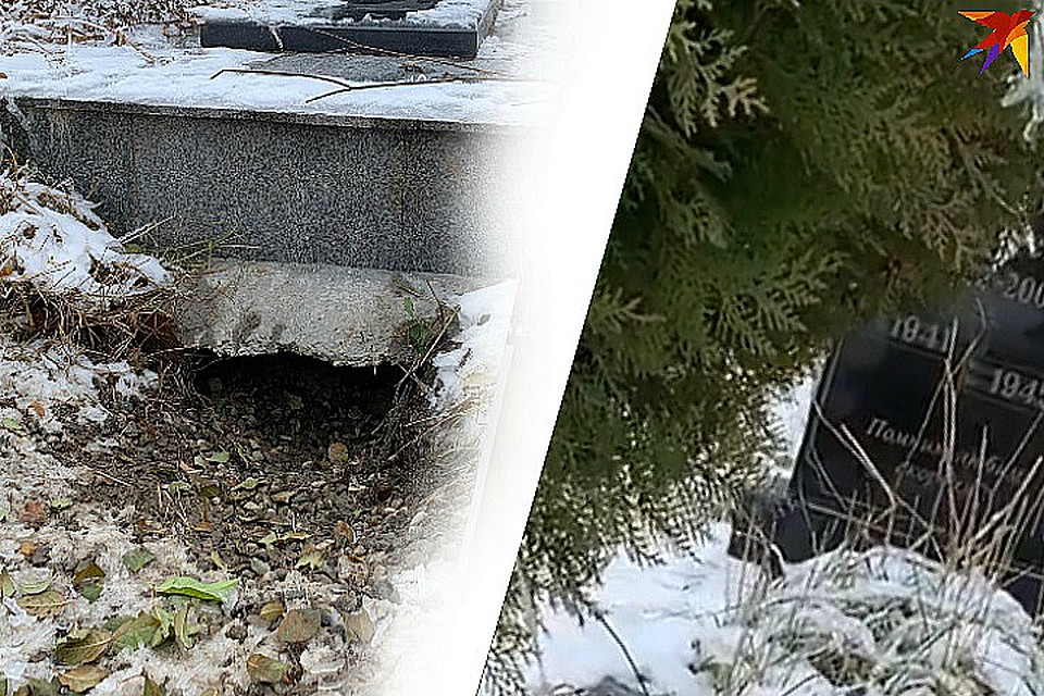 А нашли там целое семейство!