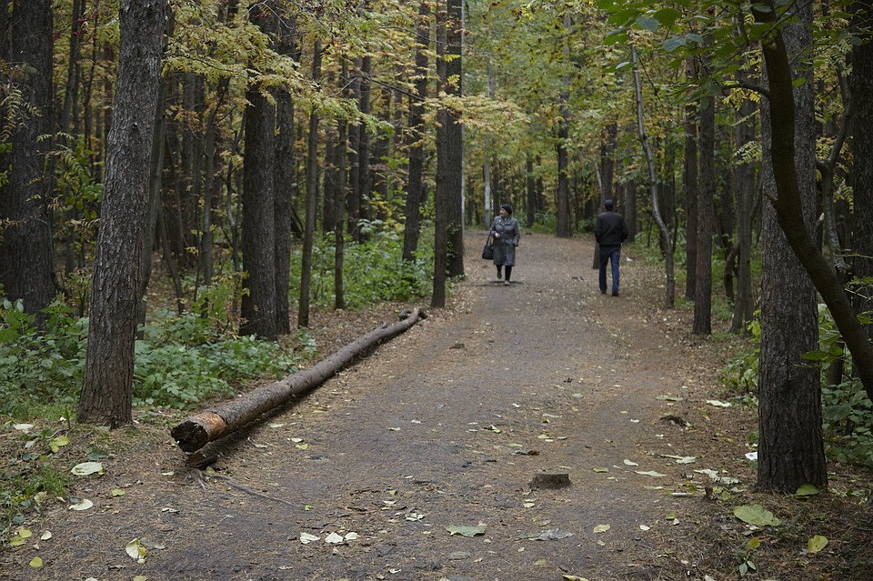Фото: Сергей Грачев