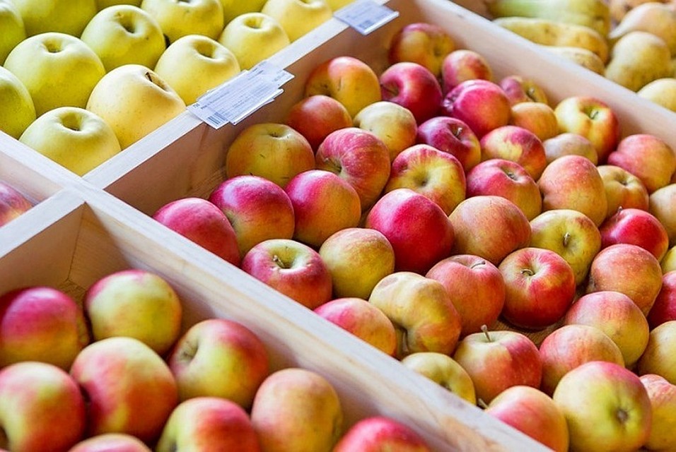 Спрос на молдавские яблоки возрастает в январе. Фото: east-fruit.com