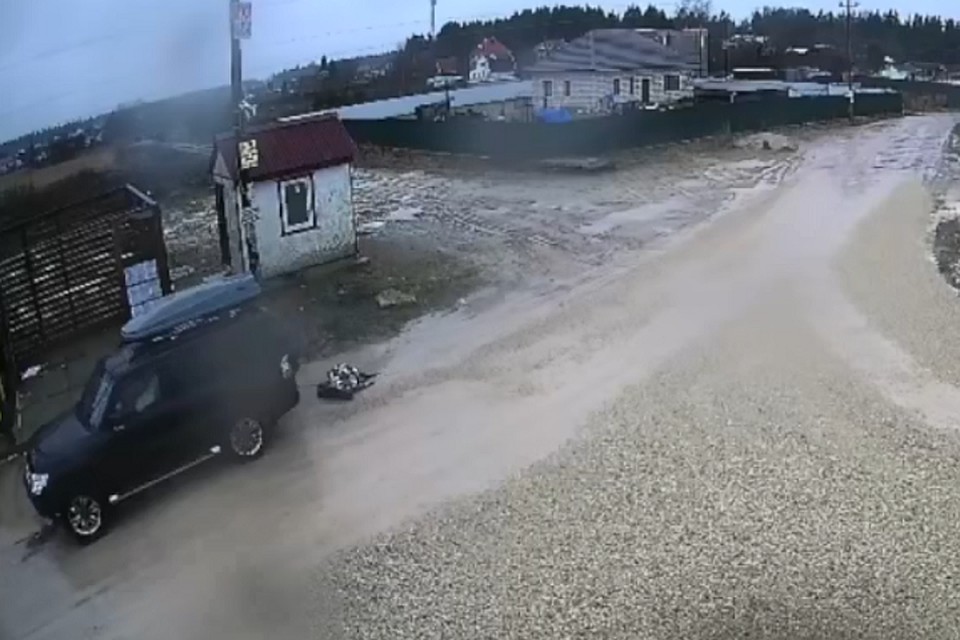 В Ленобласти водитель привез труп собаки на свалку на привязи. Фото: "Мегаполис" / vk.com/spb_today