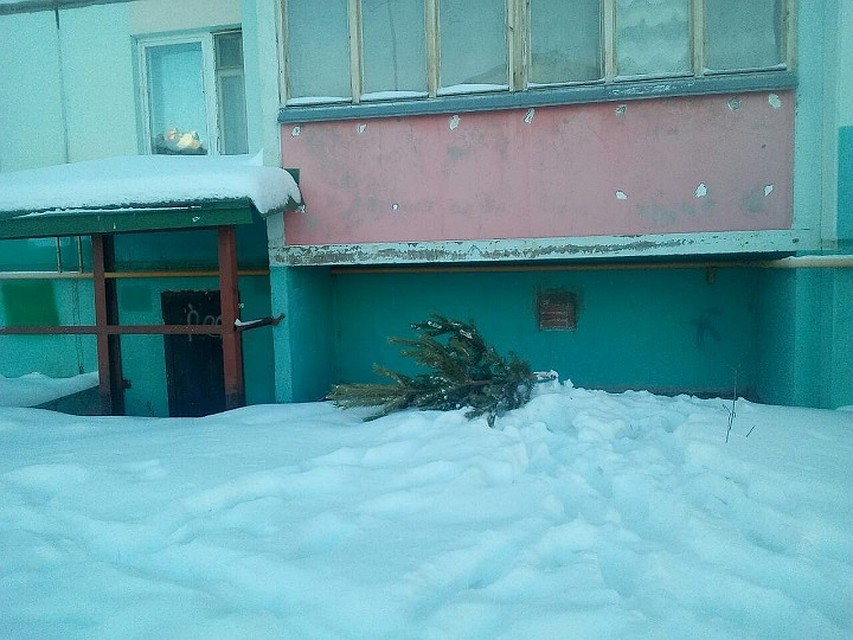Энергетики и экологи помогут помогут регоператору переработать новогодние елки. Фото «Югра-Экология».