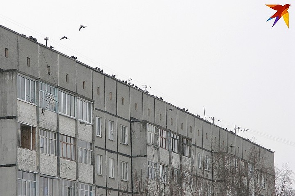 Мужчина погиб, упав с высоты в Минске