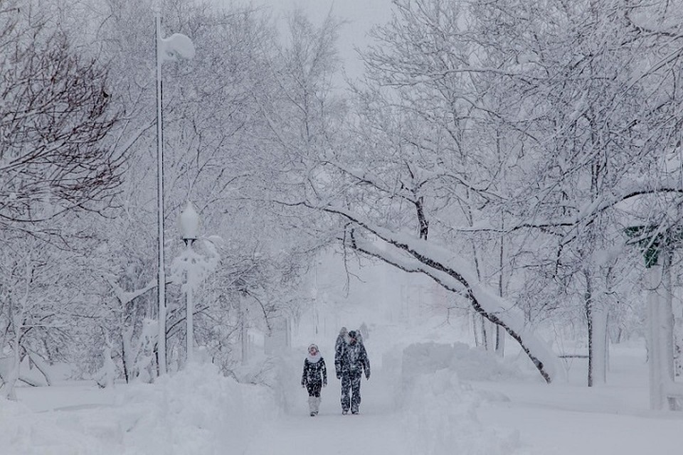 На Ямале ждут усиления ветра до 18 м/с Фото: 89.mchs.gov.ru