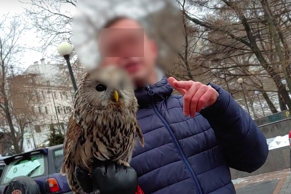 Бизнесмену 23 года и занимается он предпринимательством незаконно. Фото: скриншот с видео Travel maker 채요니 - Yony