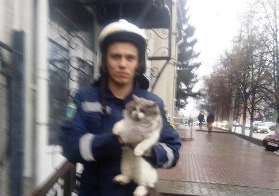 Фото пресс-службы Главного управления МЧС России по Белгородской области.