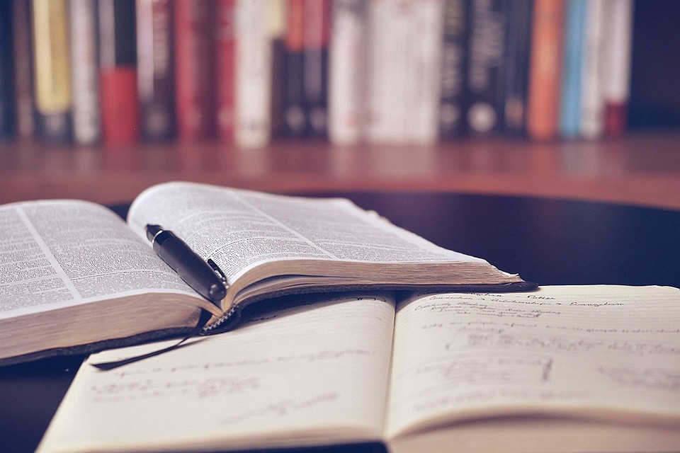 Фото: pixabay.com / носит иллюстративный характер