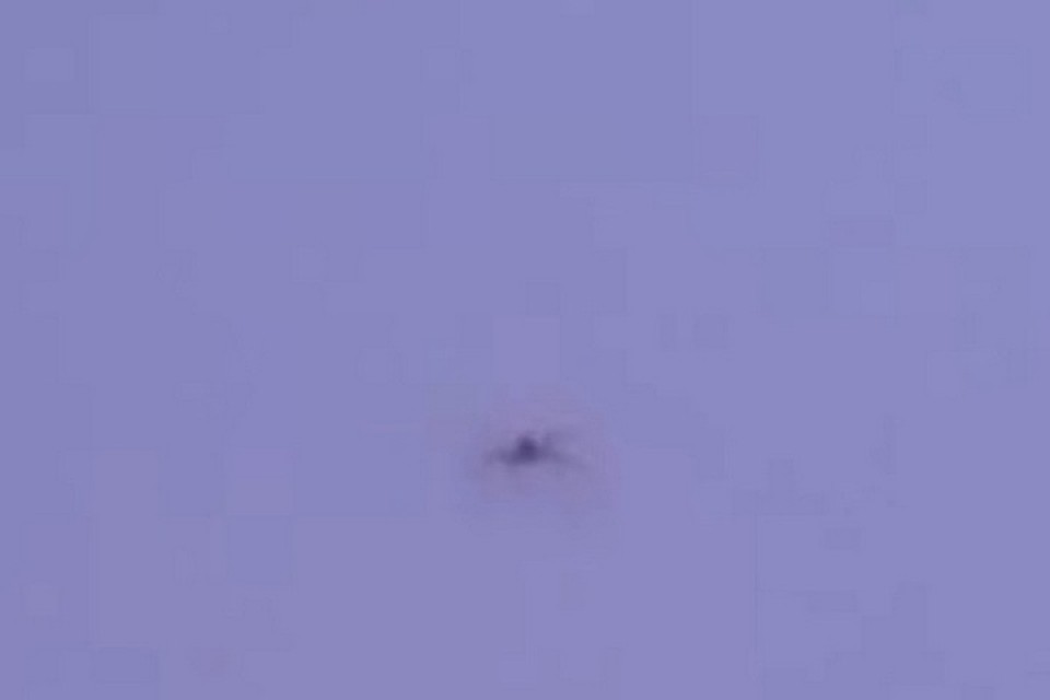 фото: скриншот видео