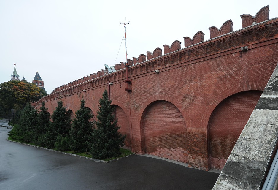 Также знаменитого актера пригласили в Россию поучаствовать в совместной высадке деревьев с детскими экологическими организациями