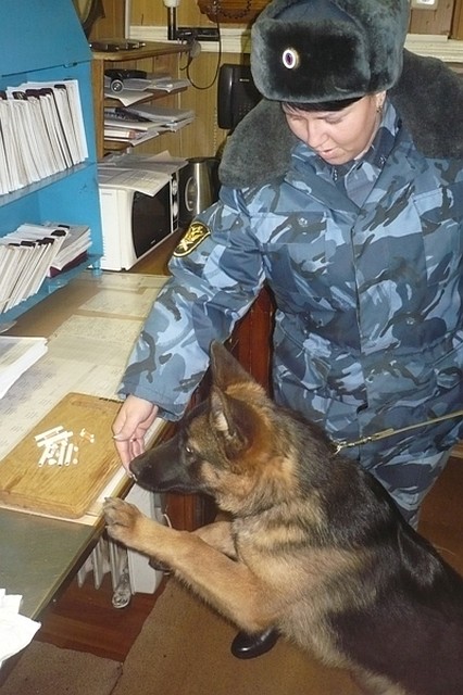 Фото: пресс-служба УФСИН России по Воронежской области.
