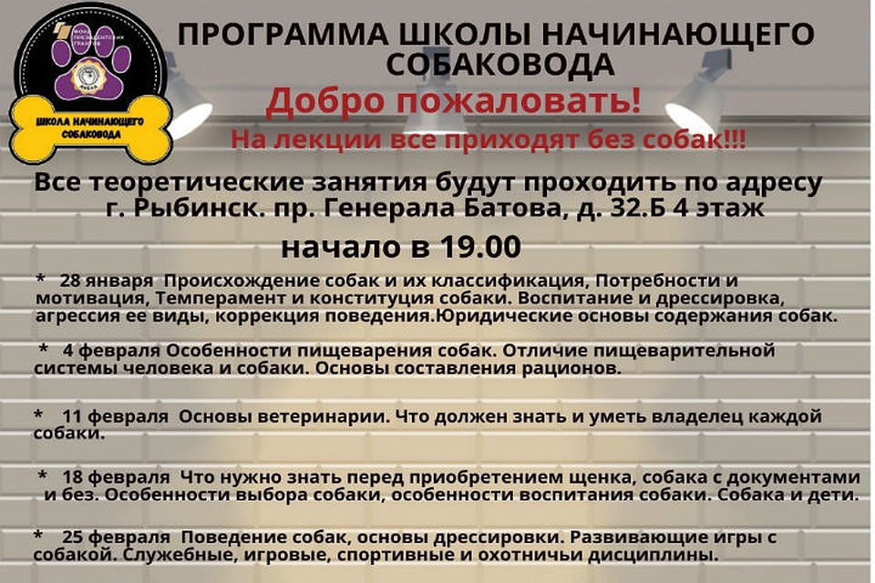 Будут и теоретические лекции, и практические занятия. ФОТО: группа Школа начинающего собаковода ВКонтакте