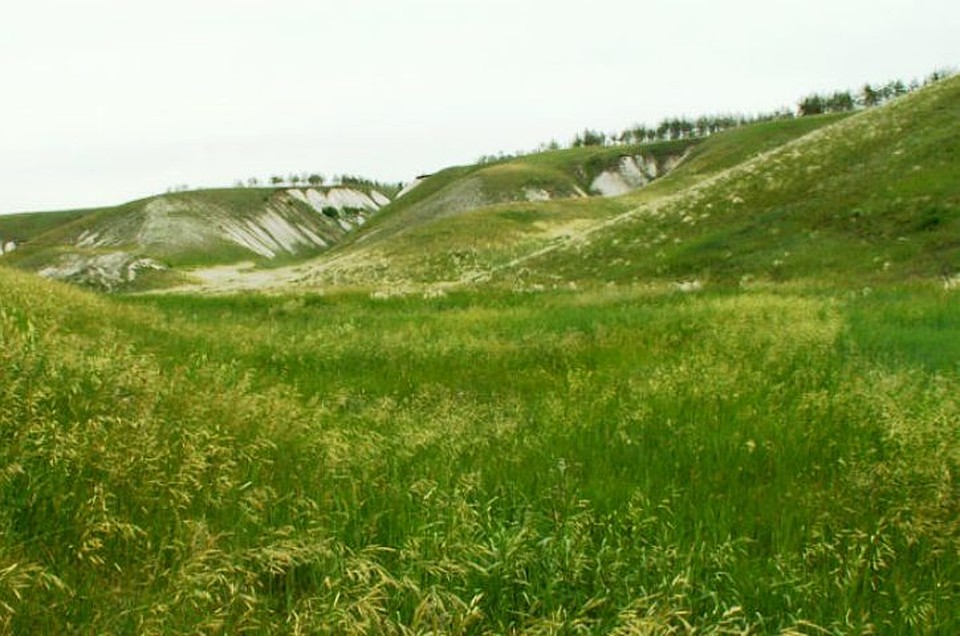 Лысая Гора