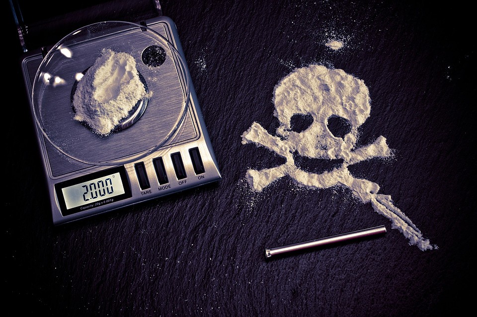 Фото: pixabay.com